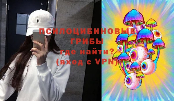 гашик Беломорск