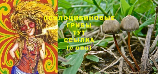 mdpv Белоозёрский