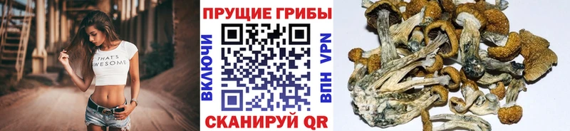 Псилоцибиновые грибы прущие грибы Очёр